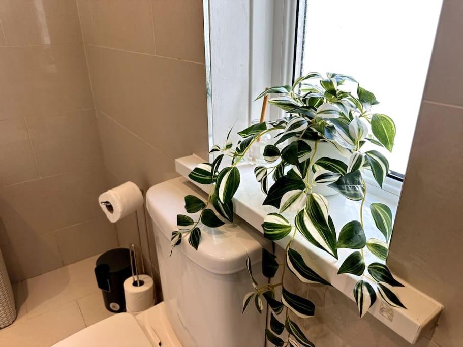 2 Bedroom Centre House - Pet Friendly - Free Parking Holiday home *